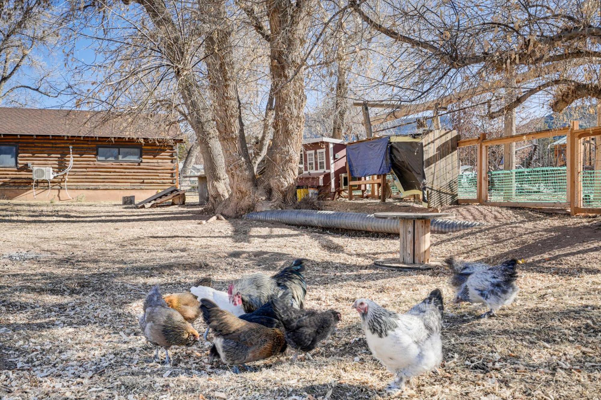 Cozy Parowan Studio 12 Mi To Brian Head Resort! Екстер'єр фото