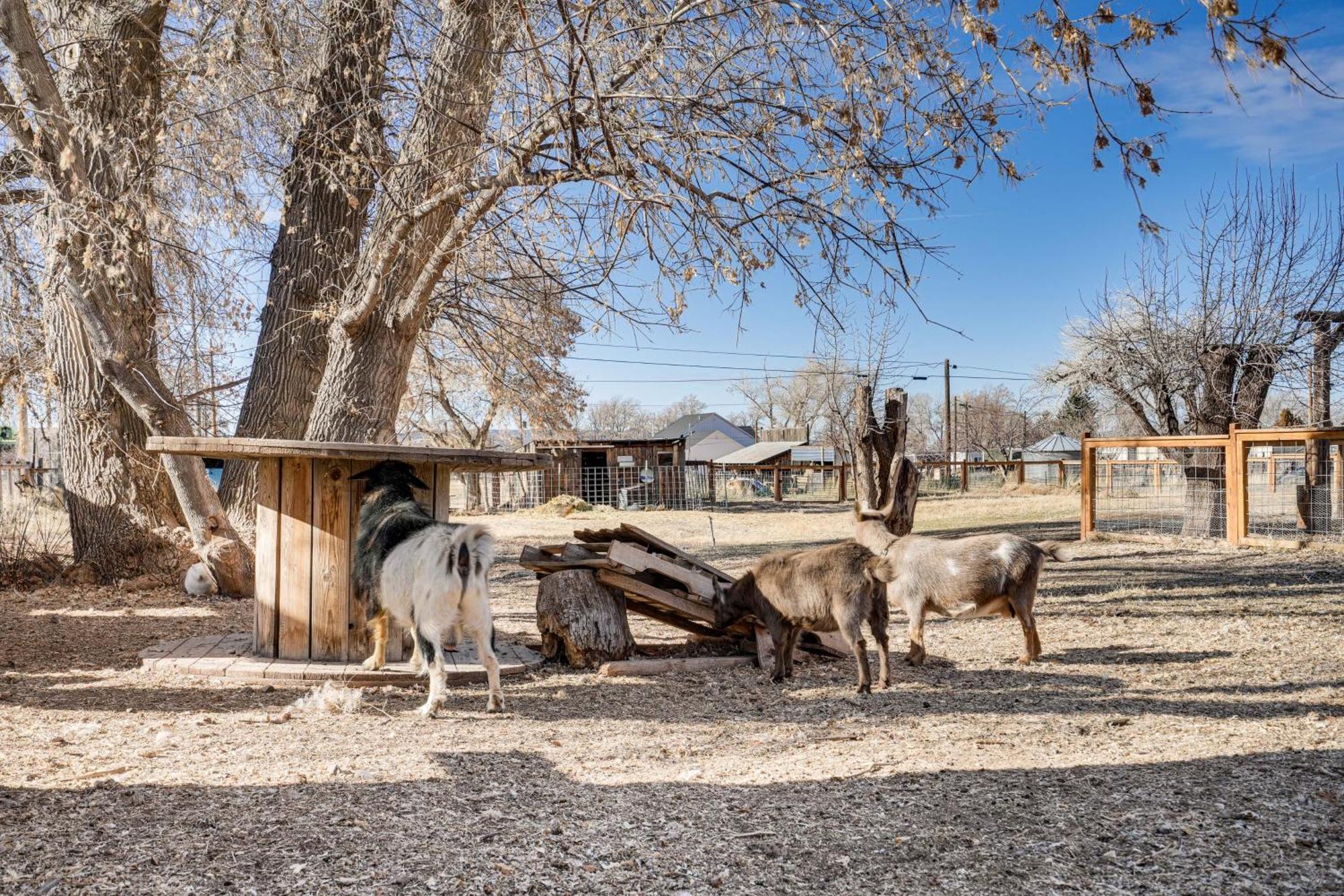 Cozy Parowan Studio 12 Mi To Brian Head Resort! Екстер'єр фото